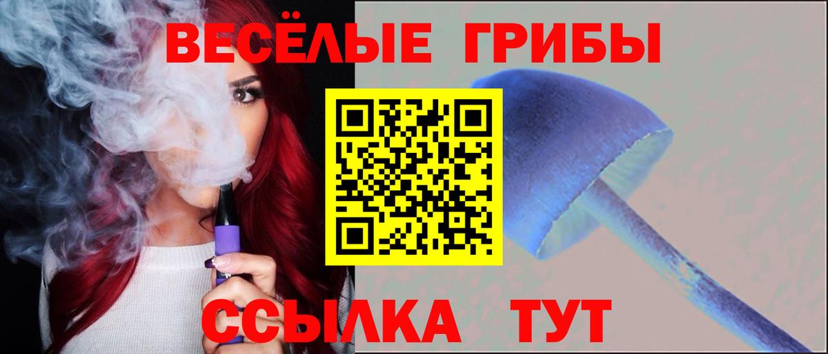 купить  сайты  Вход с VPN  Сергиев Посад  Галлюциногенные грибы Psilocybe  Галлюциногенные грибы GOLDEN TEACHER 